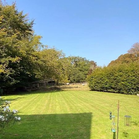 The Dower House At Parnham Park Beaminster Exterior photo